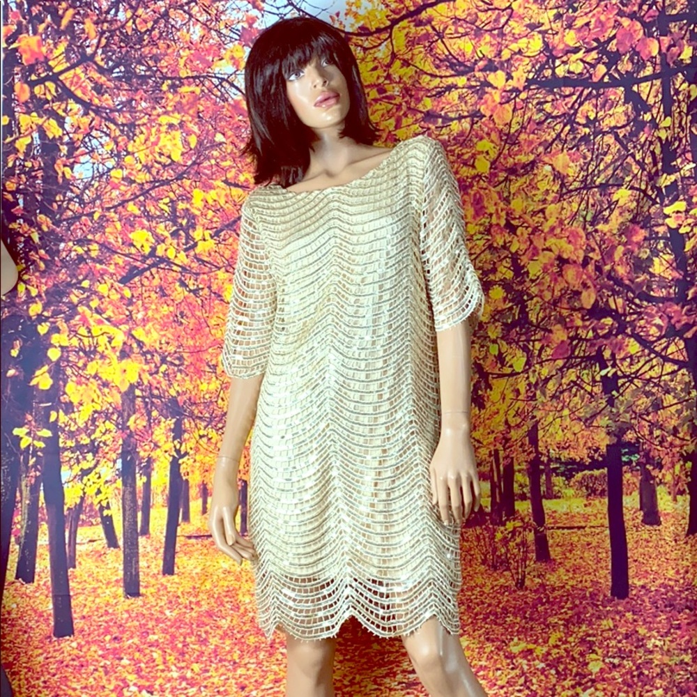 Gold Sequin Dress - Box C25